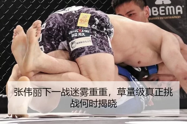 张伟丽下一战迷雾重重，草量级真正挑战何时揭晓